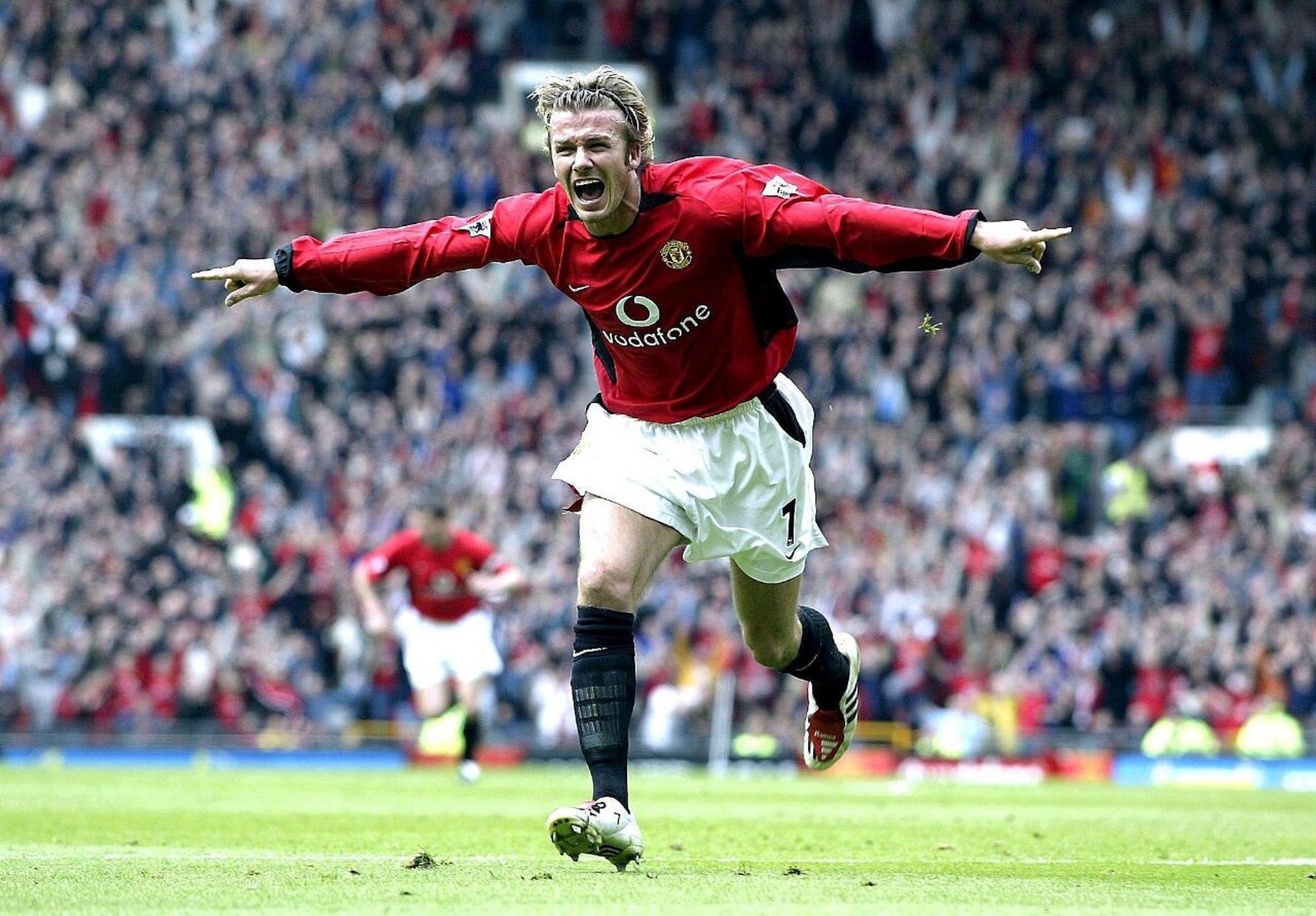 支持的排球 支持的排球